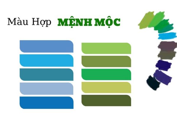 Màu nào hợp mệnh Mộc