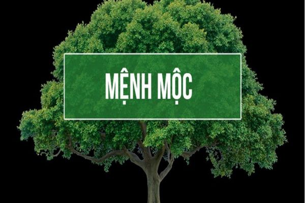 Hướng Hợp Mệnh mộc