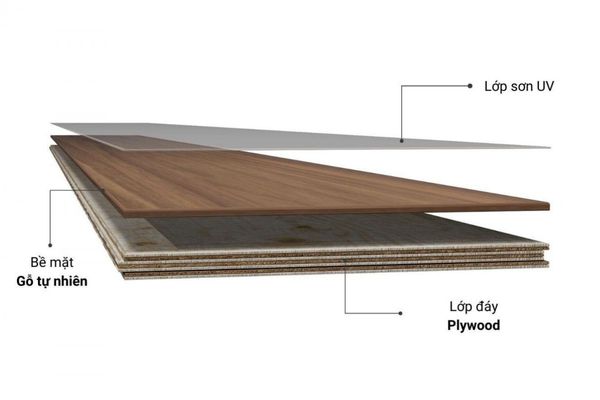 Cấu tạo của gỗ plywood